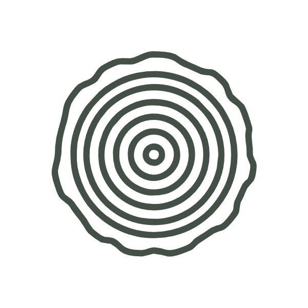 Home 2 Ícone De Perfume Amadeirado